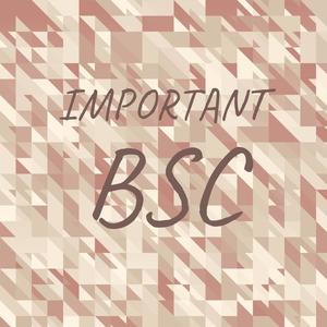 Important Bsc