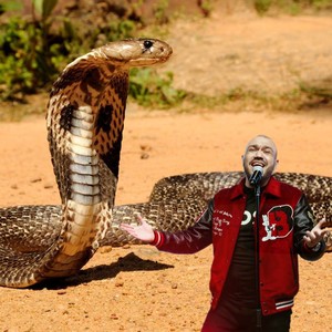 Sistemul Cobra Care A Rupt Europa (Remix)