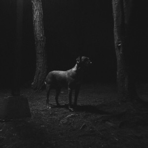 Bien o Mal (Explicit)