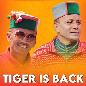 Tiger Is Back