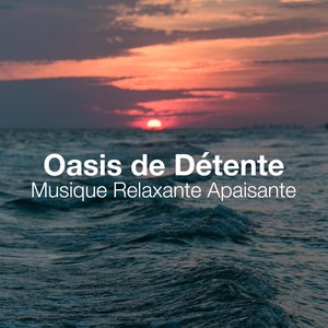 Oasis de Détente: Musique Relaxante Apaisante, Musique Douce Pour Arrêter De Penser