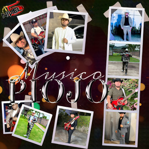 Musico Piojo