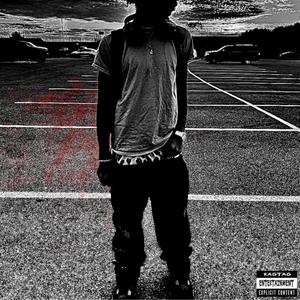 zeddyStrut (Explicit)