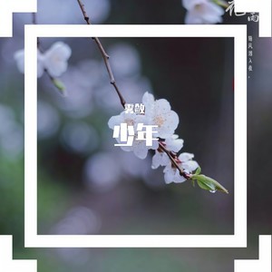 少年