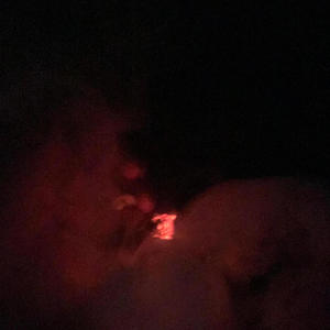 WDT (feat. Tone2hard) (Explicit)