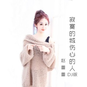 寂寞的城伤心的人 (DJ沈念版)