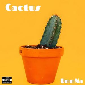 Cactus (Explicit)