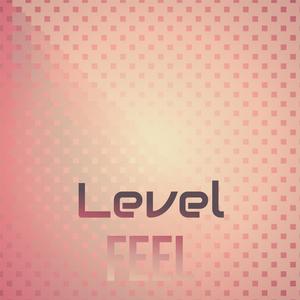 Level Feel