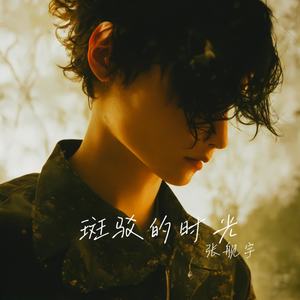 斑驳的时光