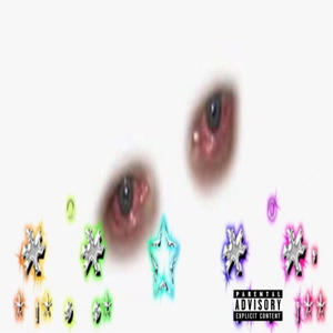 BIRKIN BAG (Explicit)