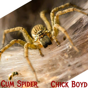 CuM SpIdER (Explicit)