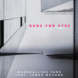 Guns for Eyes