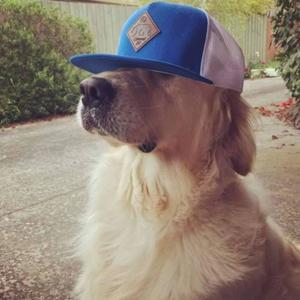 innout (feat. faller) (Explicit)