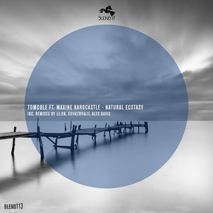 Natural Ecstasy (Alex Davis Remix|Explicit)