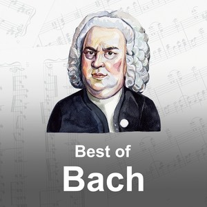 Violin Concerto No.1 in A minor, BWV 1041 - 1. (Allegro moderato)