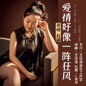 爱情好像一阵狂风