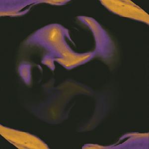 Self Reflect (Explicit)