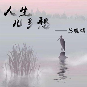 人生几多愁 (Remix)