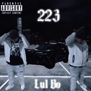 223 (Explicit)