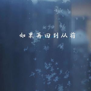 如果再回到从前 demo