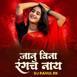 Janu Vina Rangach Naay (Dj Remix)