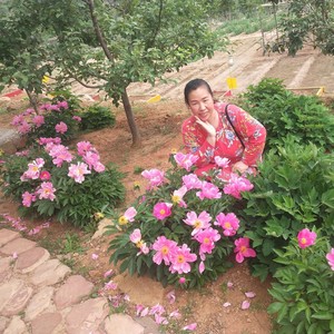 柔情似水的女人 (毕建新版)