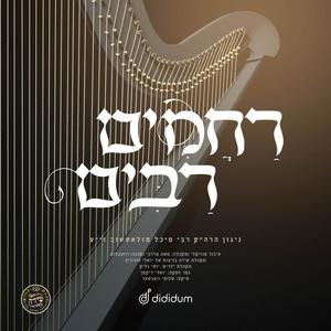 Rachamim Rabim (feat. The Shira Choir)
