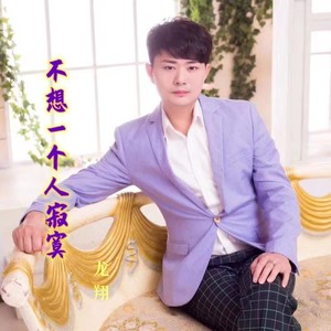 不想一个人寂寞 (伴奏)