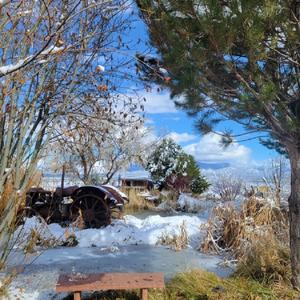 Wintry Morning, Pt. 1