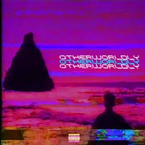 whvt it cost (Explicit)