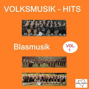 Volksmusik-Hits: Blasmusik, Vol. 1