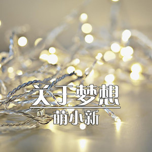 关于梦想封面
