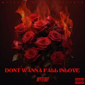 Don't Wanna Fall In Love (Explicit)