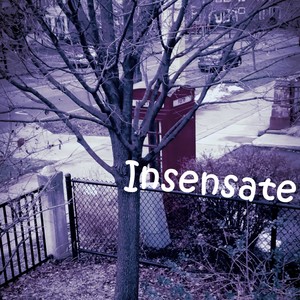 Insensate