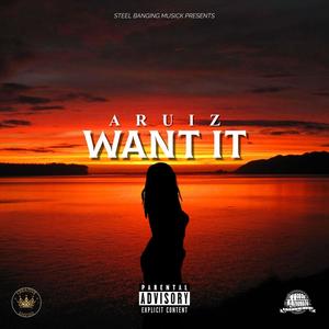 Want It (Explicit)