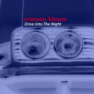 Drive into The Night (Radio Edit)
