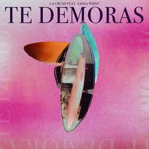 Te Demoras (feat. Sasha Wrist)