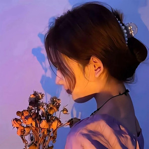 我是一根葱（笛声）