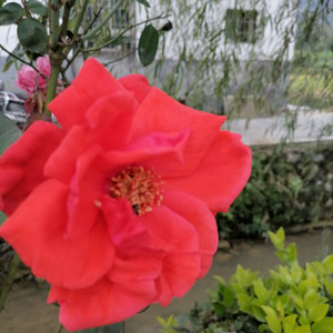 片片彩霞封面