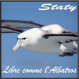 Libre comme l'albatros