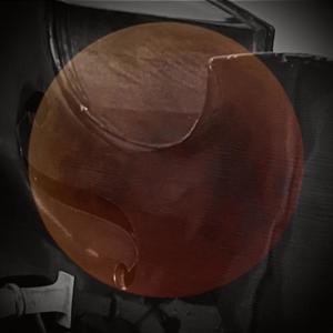 Light Borne Out Of Shadow