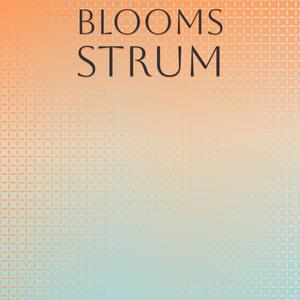 Blooms Strum