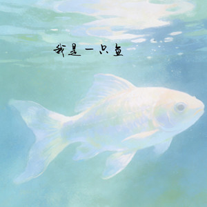 我是一只鱼 (r&b氛围版)