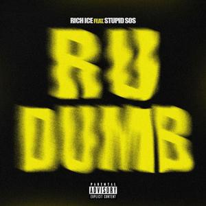 R u dumb (feat. Stupid sos) [Explicit]