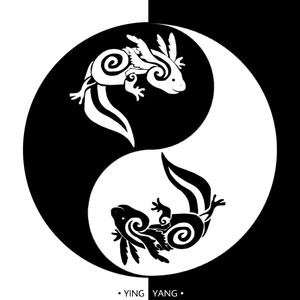 Ying Yang (Explicit)