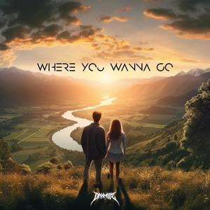 Where You Wanna Go