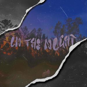 in the night (slowed + reverb)