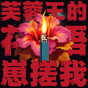 芙蓉王的花语是崽搓我