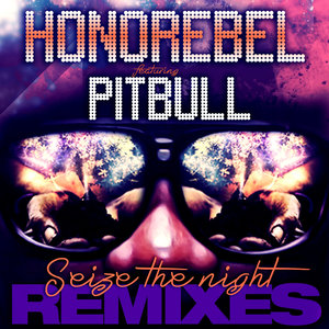 Seize the Night (feat. Pitbull) - Single