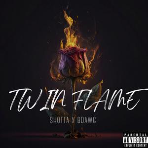 TWIN FLAME (feat. BDawg_) [Explicit]